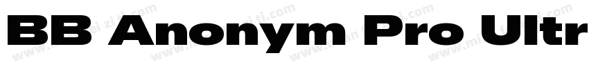 BB Anonym Pro Ultra字体转换